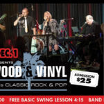 Hollywood & Vinyl, a ‘60s / ‘70s Rock Classics & Pop Band